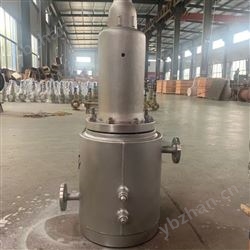 非标定制夾套保溫波紋管安全閥