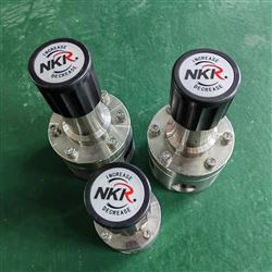 NKRGBF-300高溫背壓閥